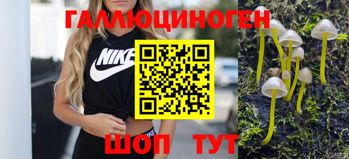 цена наркотик  Псилоцибиновые грибы MAGIC MUSHROOMS  Вход с VPN  Миллерово 